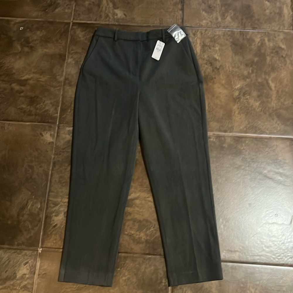 Express Editor Pants